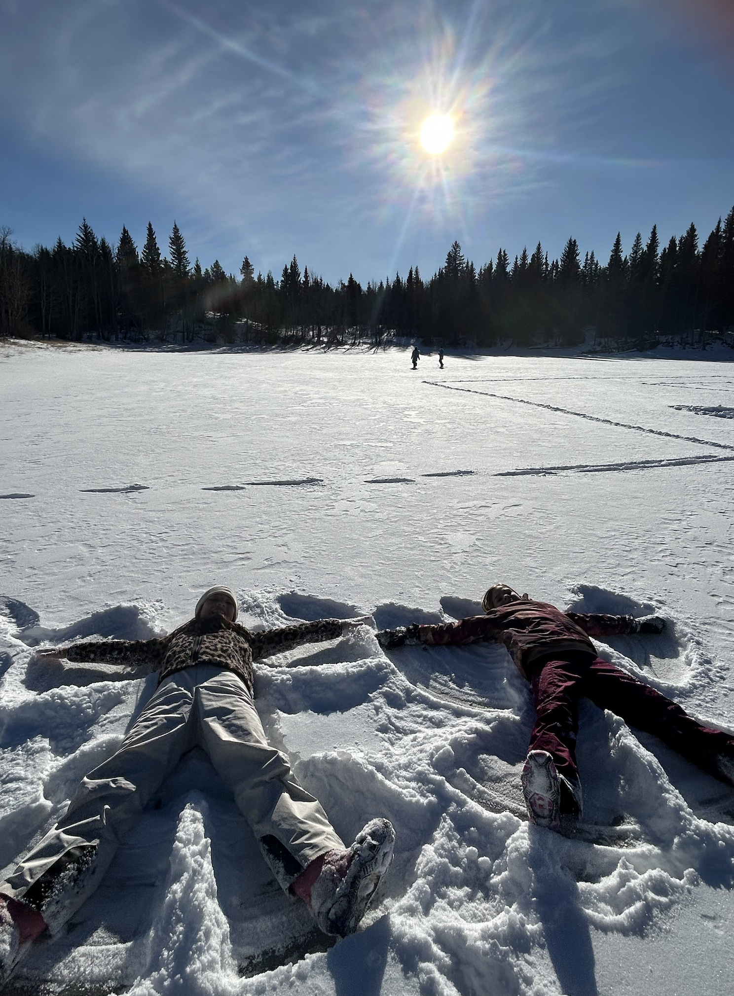 Parent Update February 2 – February 6